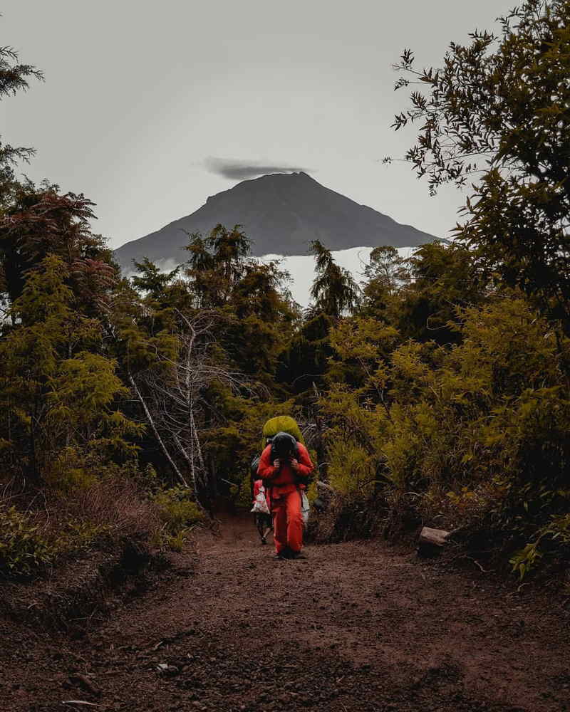 Hiking Gn. Sindoro Mepo Basecamp Kledung